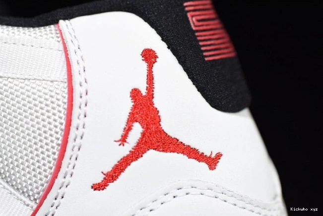 Jordan 378037-016 Platinum Tint Retro Air 11 0812